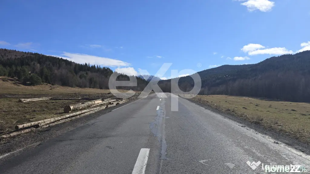 Teren extravilan 19.200 mp – DN1A Săcele, Brădet | Front