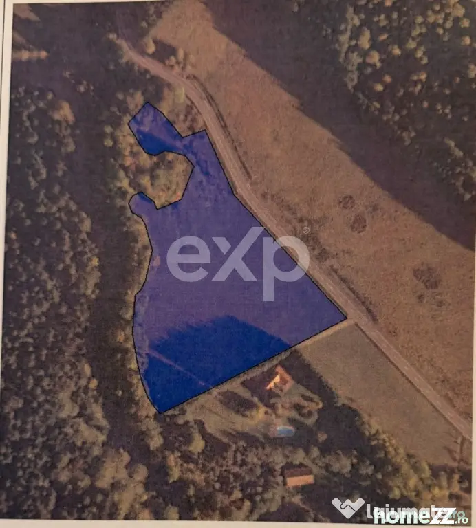 Teren extravilan 19.200 mp – DN1A Săcele, Brădet | Front