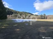 Teren extravilan 19.200 mp – DN1A Săcele, Brădet | Front 