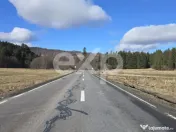 Teren extravilan 19.200 mp – DN1A Săcele, Brădet | Front 