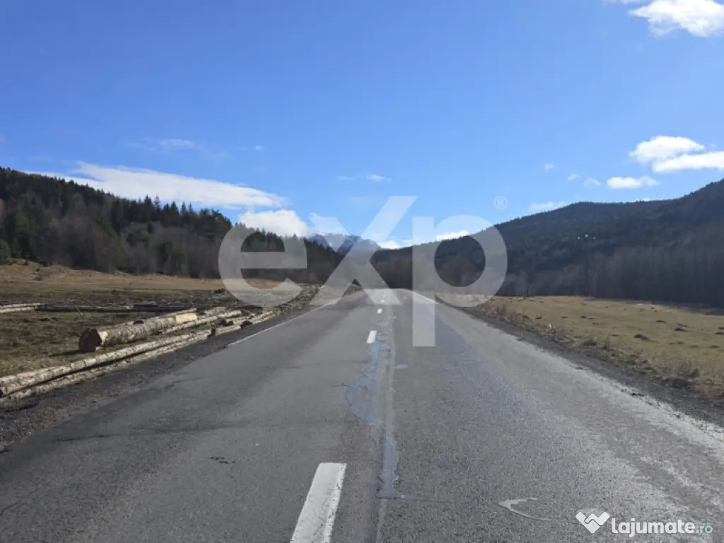 Teren extravilan 19.200 mp – DN1A Săcele, Brădet | Front