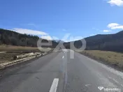 Teren extravilan 19.200 mp – DN1A Săcele, Brădet | Front 