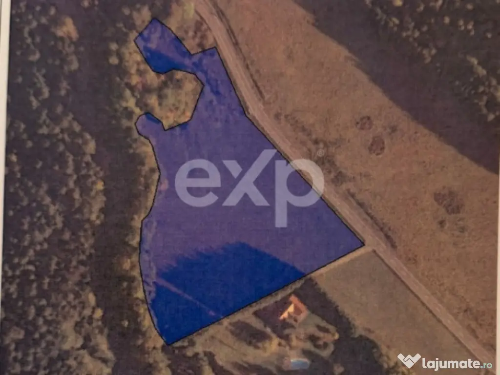 Teren extravilan 19.200 mp – DN1A Săcele, Brădet | Front