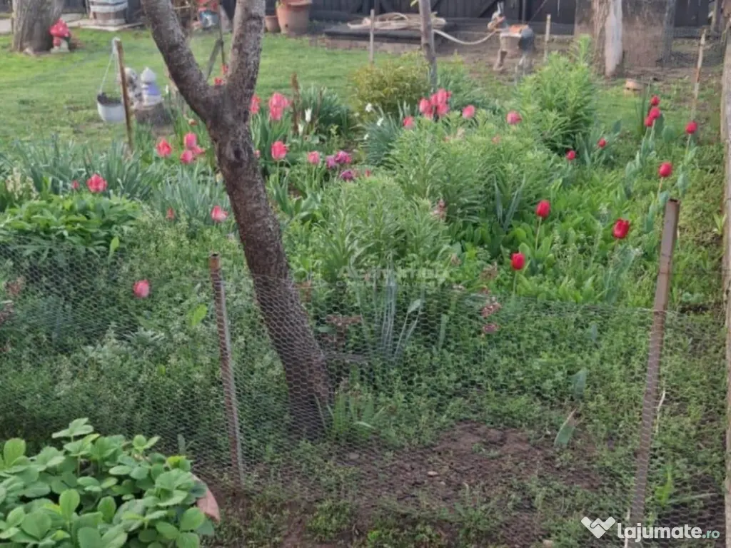 Casa, cocheta, situata pe o strada linistita, la 10 km de Pl