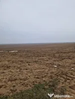 Teren de vânzare 2.500 mp – Malu Mare