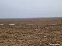 Teren de vânzare 2.500 mp – Malu Mare