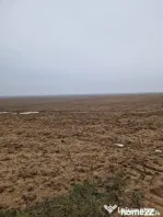 Teren de vânzare 2.500 mp – Malu Mare