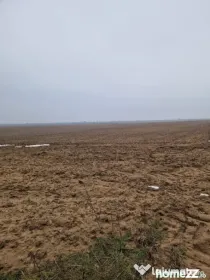 Teren de vânzare 2.500 mp – Malu Mare