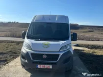 Fiat ducato maxi profesional