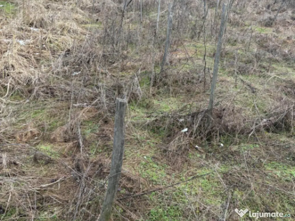 Terenarabil de 700mp la 10000 euro la 60 mp de str E70 Raco