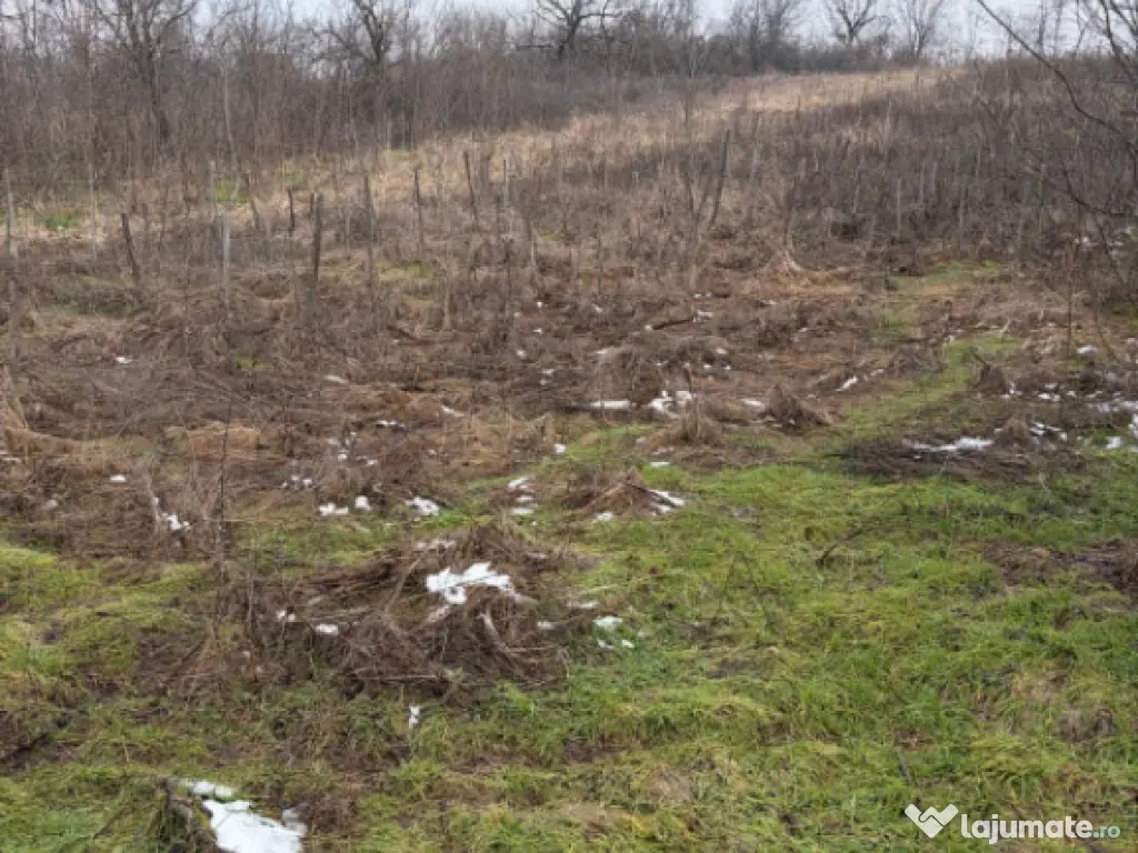 Terenarabil de 700mp la 10000 euro la 60 mp de str E70 Raco