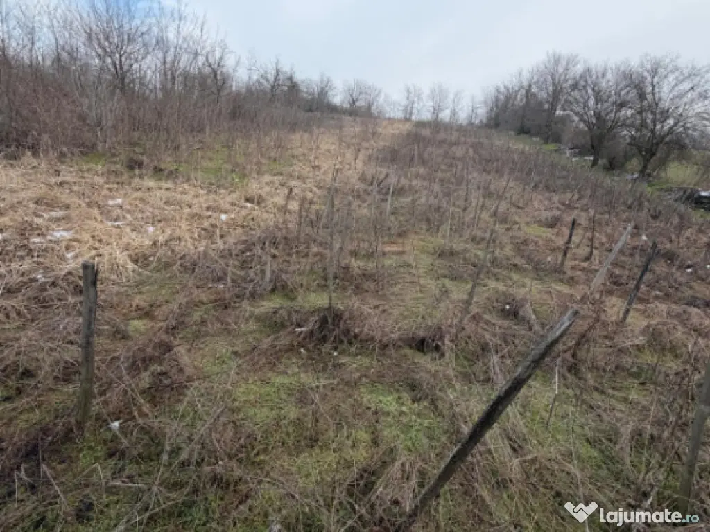 Terenarabil de 700mp la 10000 euro la 60 mp de str E70 Raco