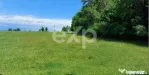 OFERTA!!! De vânzare teren extravilan, 400 m ² în Techirg