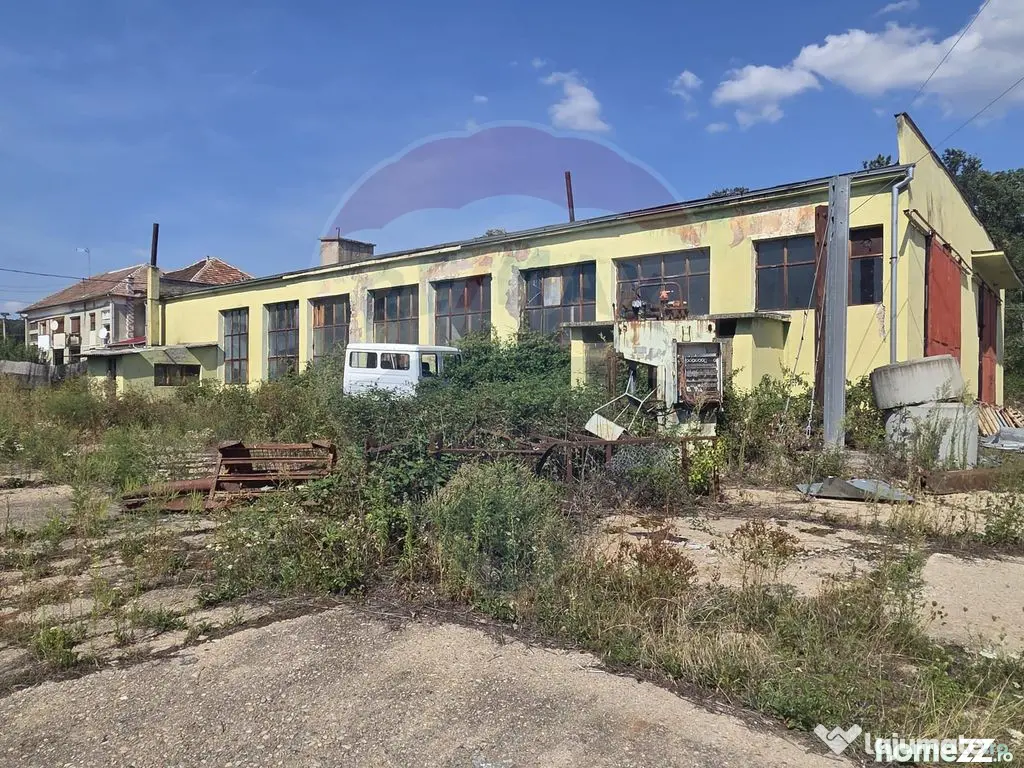 Spațiu industrial 15435 mp. de vânzare in Tinca.