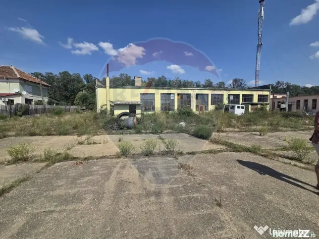 Spațiu industrial 15435 mp. de vânzare in Tinca.