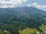 TTeren intravilan, 3500 mp, Dâmbu Morii 