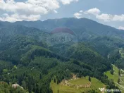 TTeren intravilan, 3500 mp, Dâmbu Morii 