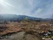 Casa de vanzare in Luncani 