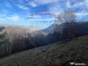 Teren Colinar Panoramic – 17.684 mp în Scheii Brașovului 