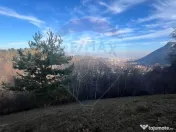 Teren Colinar Panoramic – 17.684 mp în Scheii Brașovului 