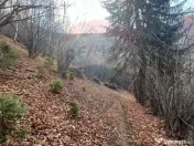 Teren Colinar Panoramic – 17.684 mp în Scheii Brașovului 