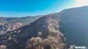 Teren Colinar Panoramic – 17.684 mp în Scheii Brașovului 