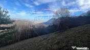 Teren Colinar Panoramic – 17.684 mp în Scheii Brașovului 