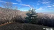 Teren Colinar Panoramic – 17.684 mp în Scheii Brașovului 
