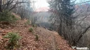 Teren Colinar Panoramic – 17.684 mp în Scheii Brașovului 