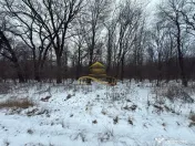 Teren extravilan - Padure de vanzare in Beresti Bistrita 