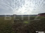 Teren intravilan 1.600 mp | Vințu de Jos