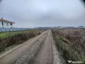 Teren Corbeanca- Balotesti Strada Trei Lacuri 