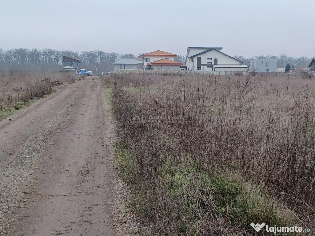 Teren Corbeanca- Balotesti Strada Trei Lacuri