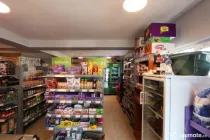 Spațiu comercial + teren, 163 mp utili, 983 mp, Mătăsaru/