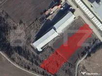 Investitie ! Teren intravilan 4800 mp, pretabil PUZ , Triaju