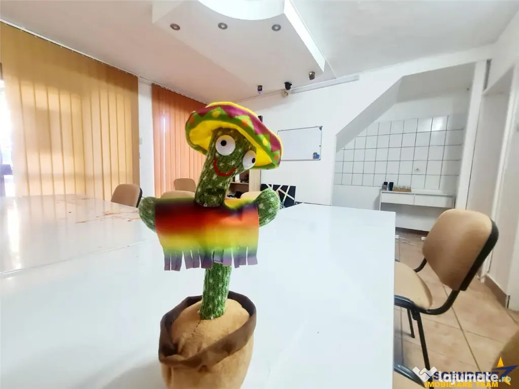 Spatiu versatil pentru birouri ateliere pentru copii terapi