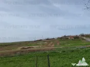 Teren intravilan cu utilitati 4350 mp Pantelimon Jud Constan 