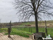 Teren intravilan cu utilitati 4350 mp Pantelimon Jud Constan 