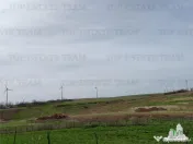 Teren intravilan cu utilitati 4350 mp Pantelimon Jud Constan 