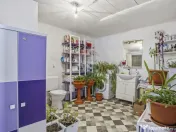 Casă renovată cu teren generos în Satu Mare,Secusigiu 