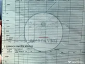 Vanzare teren itravilan Sanmartin,com. Chinteni CJ 