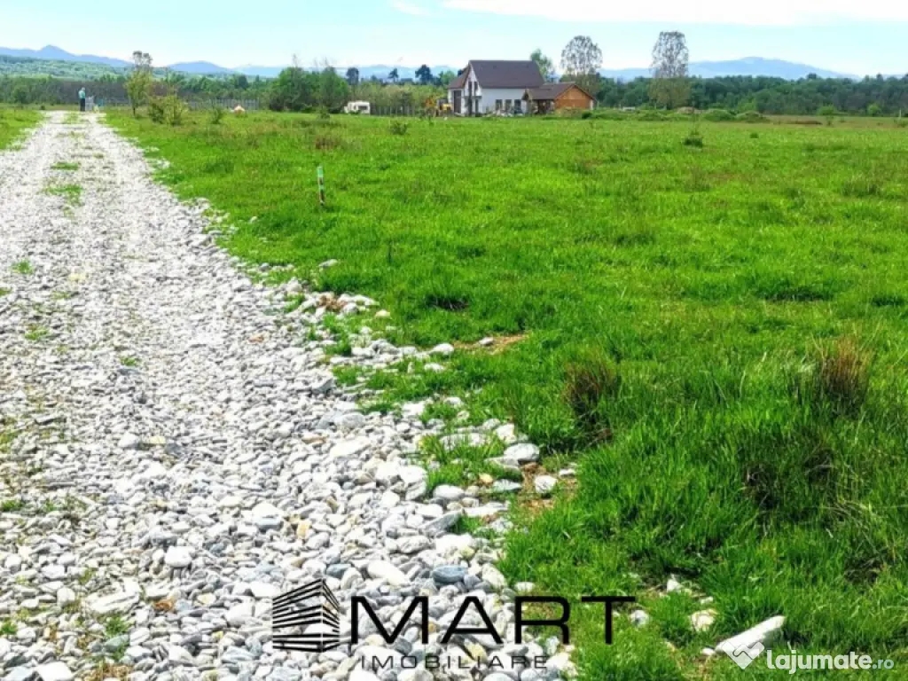 Teren extravilan Valea Avrigului 8000mp zona Panoramic Park