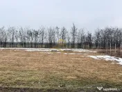 Teren de vanzare Siretu Saucesti Bacau 