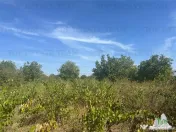 Teren intravilan construibil in Branesti, Ilfov – 2040 mp, 