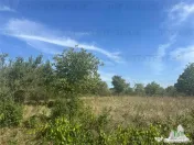 Teren intravilan construibil in Branesti, Ilfov – 2040 mp, 