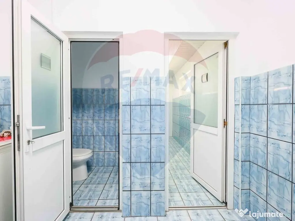 Spațiu industrial /hală de vânzare în zona Vest