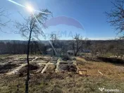 Carbunari Vanzare teren cu fundatie, proiect de casa si r... 