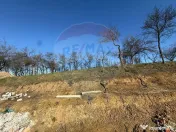 Carbunari Vanzare teren cu fundatie, proiect de casa si r... 