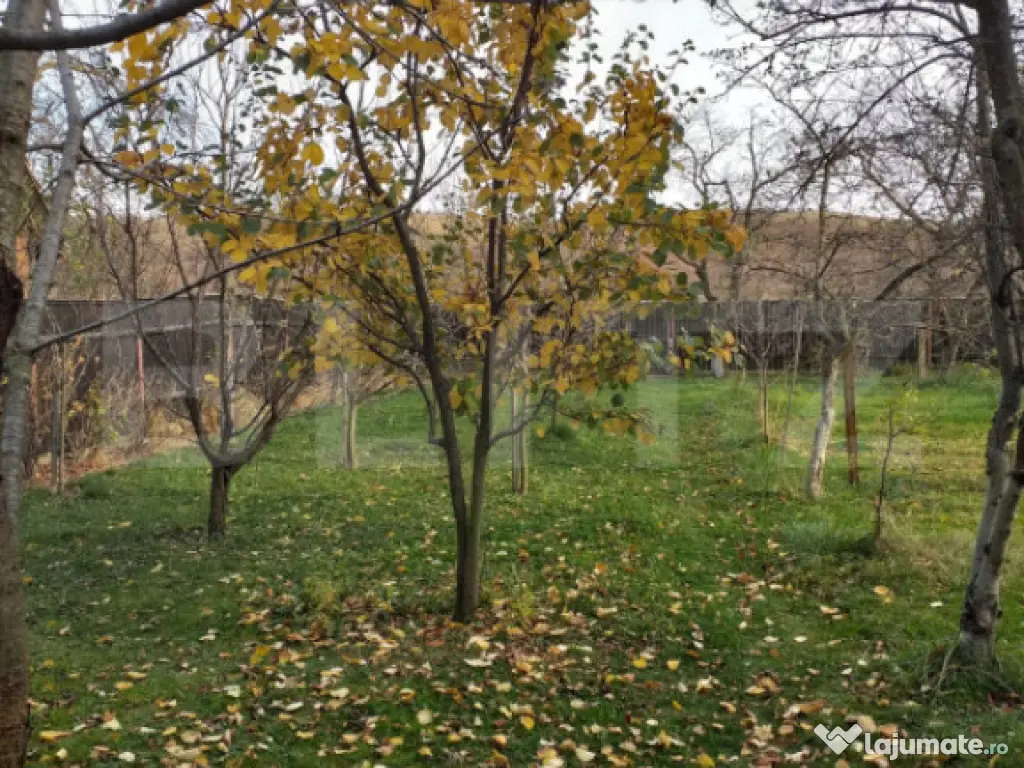 Oportunitate!! Casa deosebita