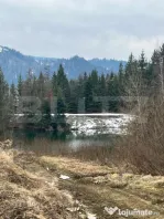 Teren de 10 ari, zona Colibita langa lac